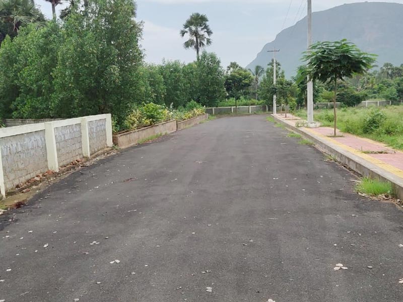 Sukrithi Springs