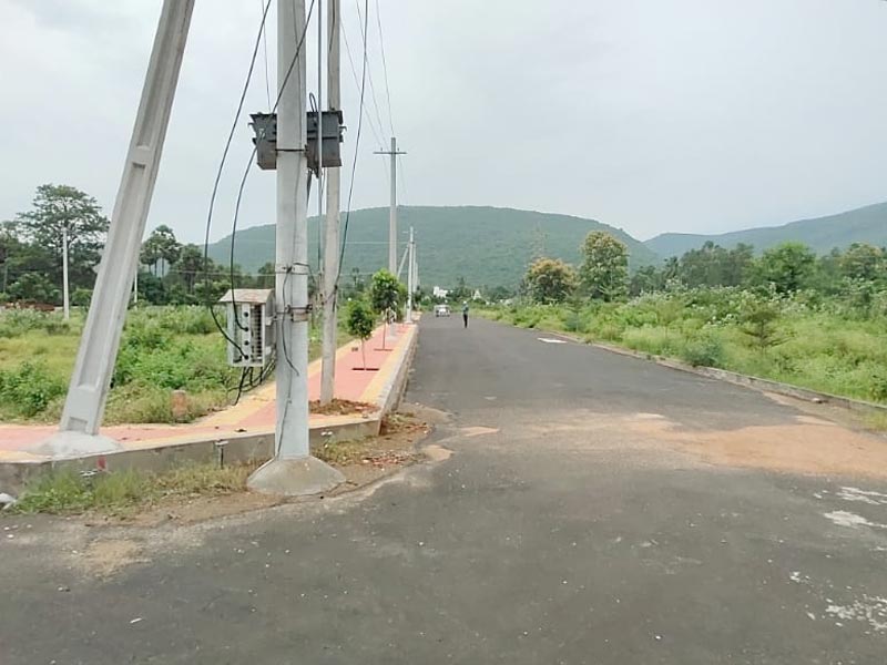 Sukrithi Springs