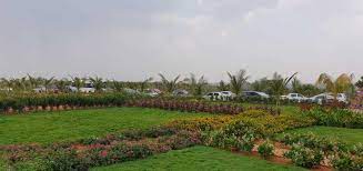 Sukrithi Hills