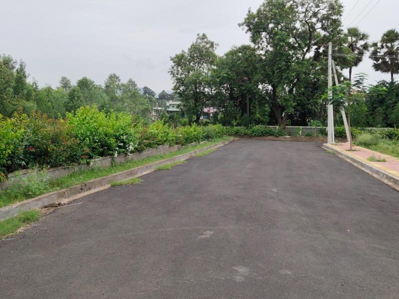 Sukrithi Springs