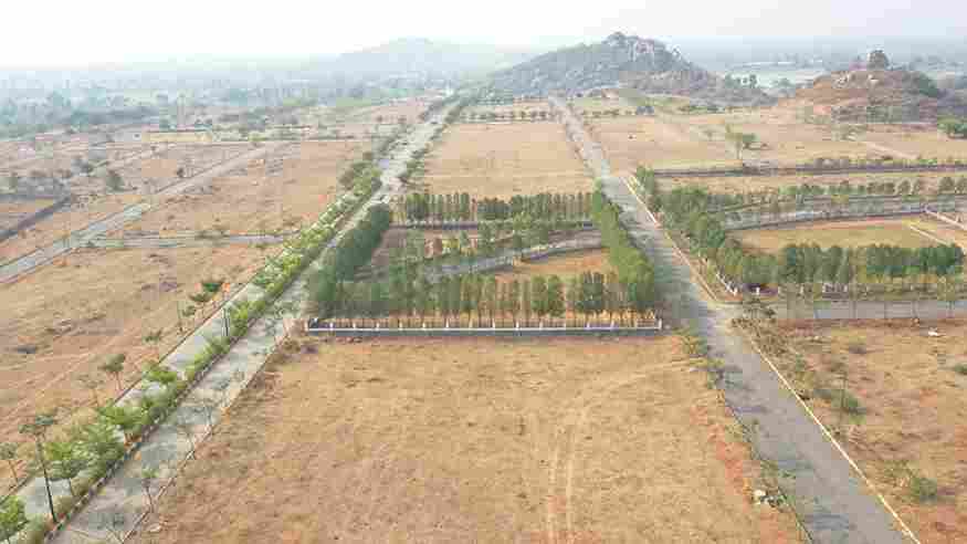 tanavi grove