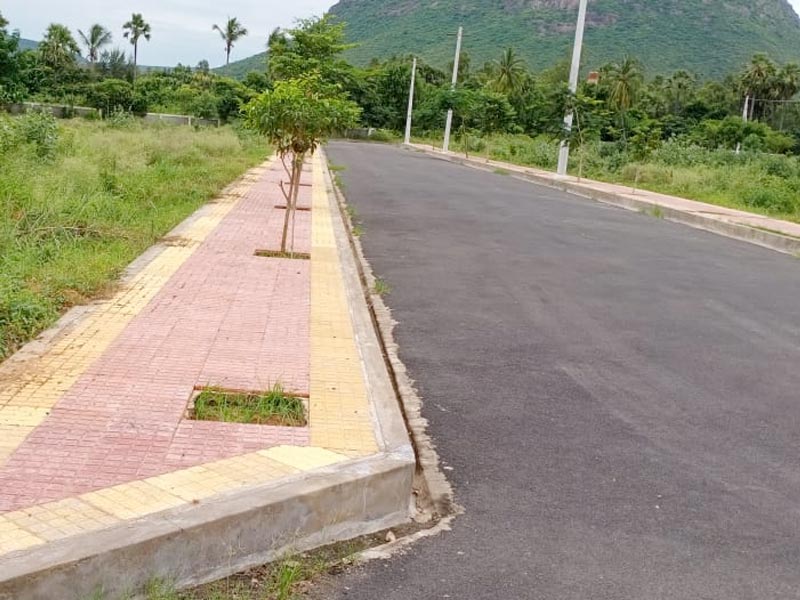 Sukrithi Springs