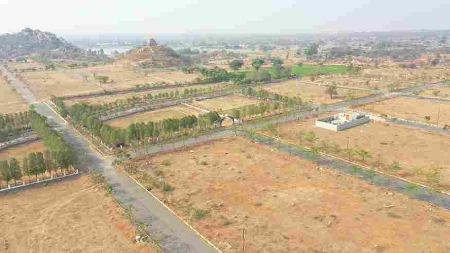 tanavi grove