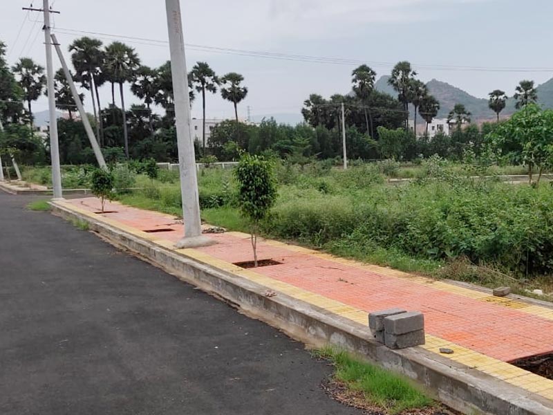 Sukrithi Springs
