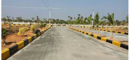 Suncity